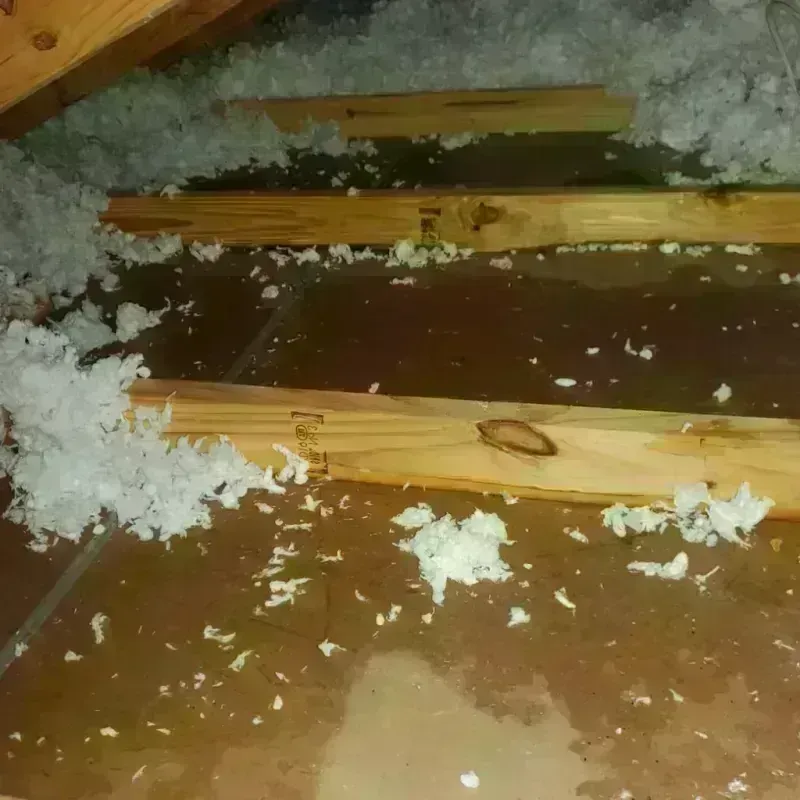 Attic Water Damage in Walters, OK