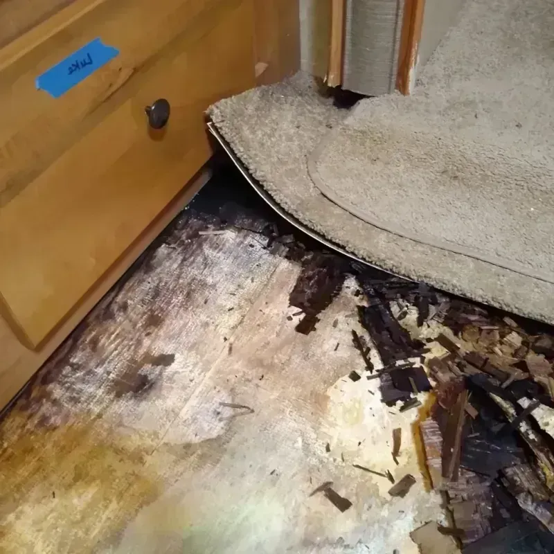 Wood Floor Water Damage in Walters, OK